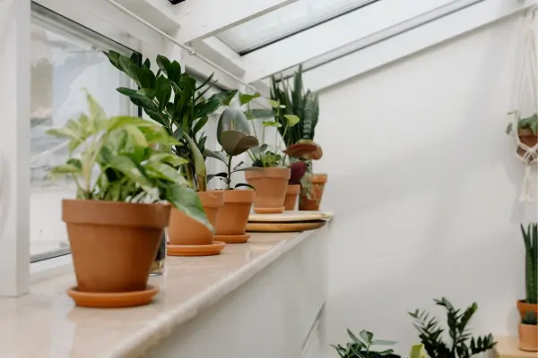 Jardim de Inverno