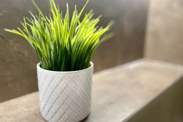 Planta Artificial